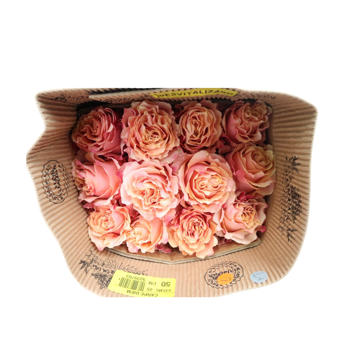 Rose Bundle - Carpe Diem