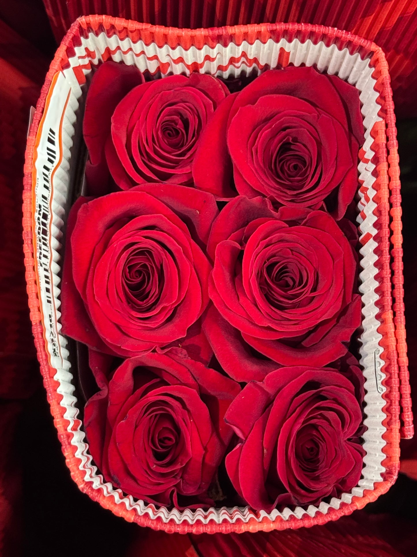 Rose bunches - 10 stems