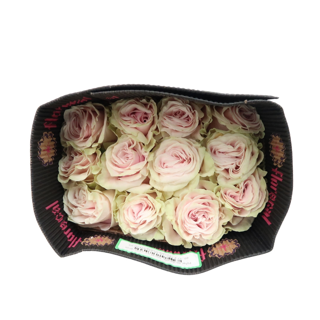 Rose Bundle - Pink Mondial