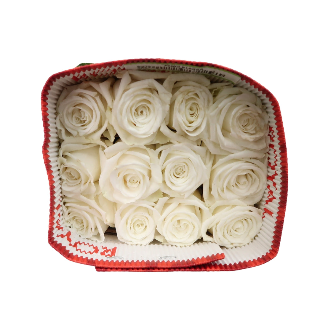 Rose Bundle - Playa Blanca