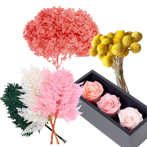 Preserved Flowers