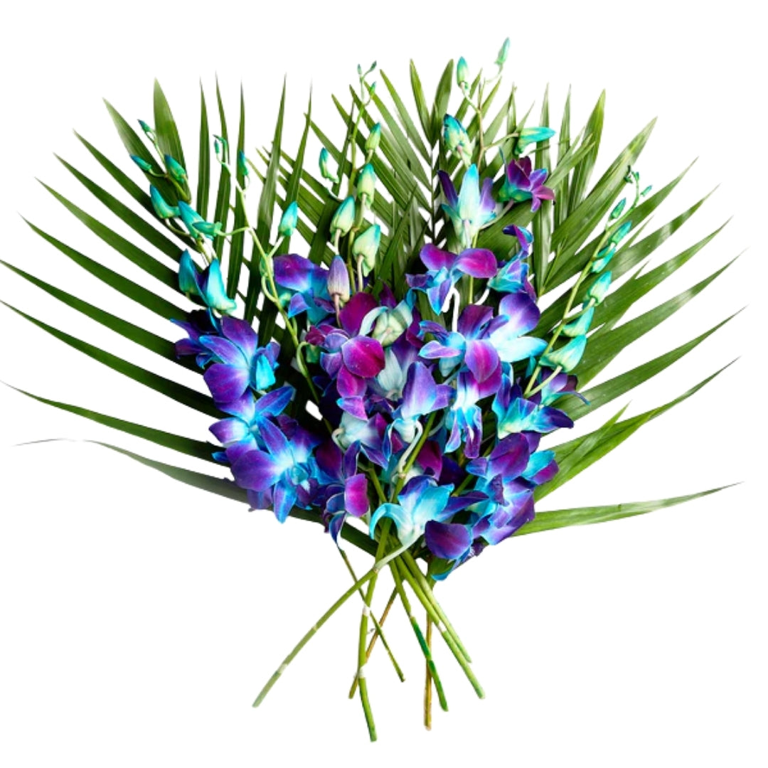 Singapore Orchids 5 stems