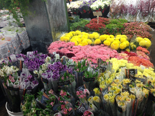 How Harrys Wholesale Keeps Flowers Fresh and Florists Happy