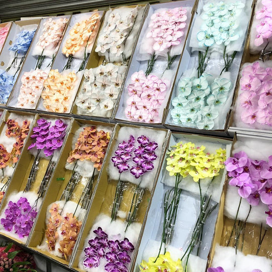 Keeping the Blooms Coming: Balances Local & Imported Flowers