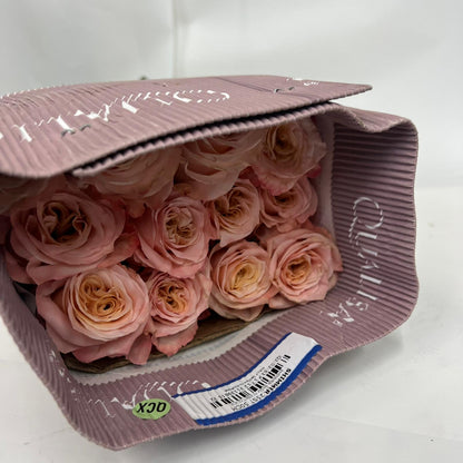 Rose Bundle - Shimmer