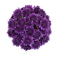Chrysanthemums BlueOcean