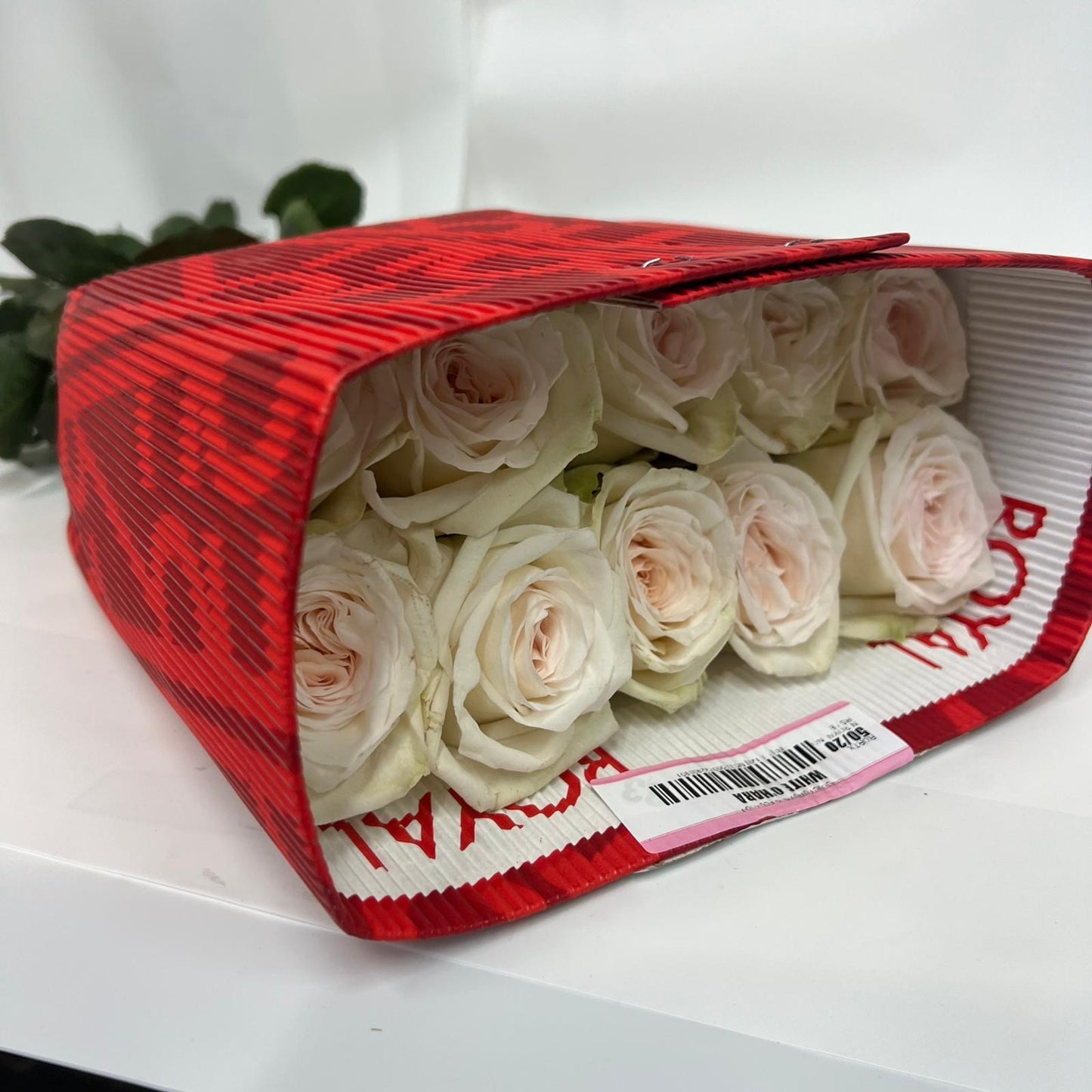 Rose Bundle - White O’Hara