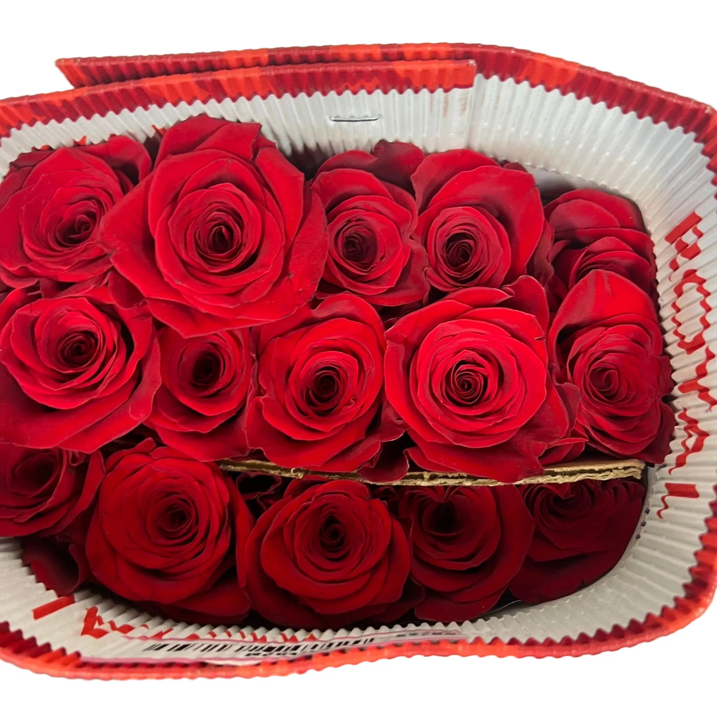 Rose Bundle - Freedom