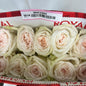 Rose Bundle - White O’Hara