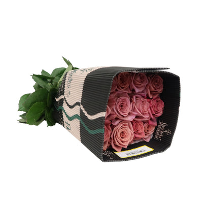 Rose Bundle - Barista
