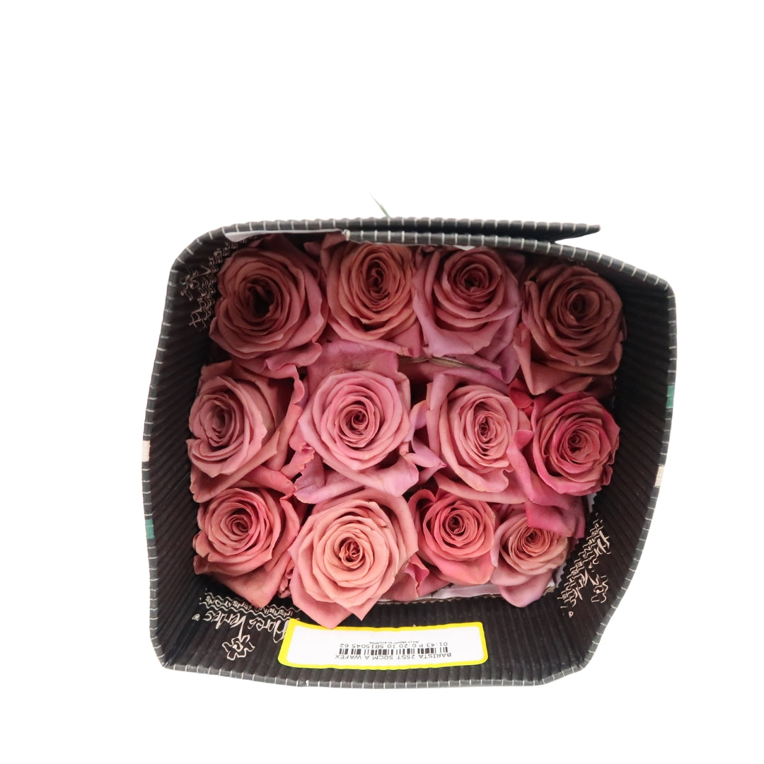 Rose Bundle - Barista