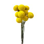 Billy Buttons