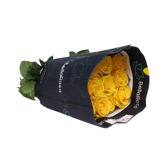 Rose Bundle - Brighton