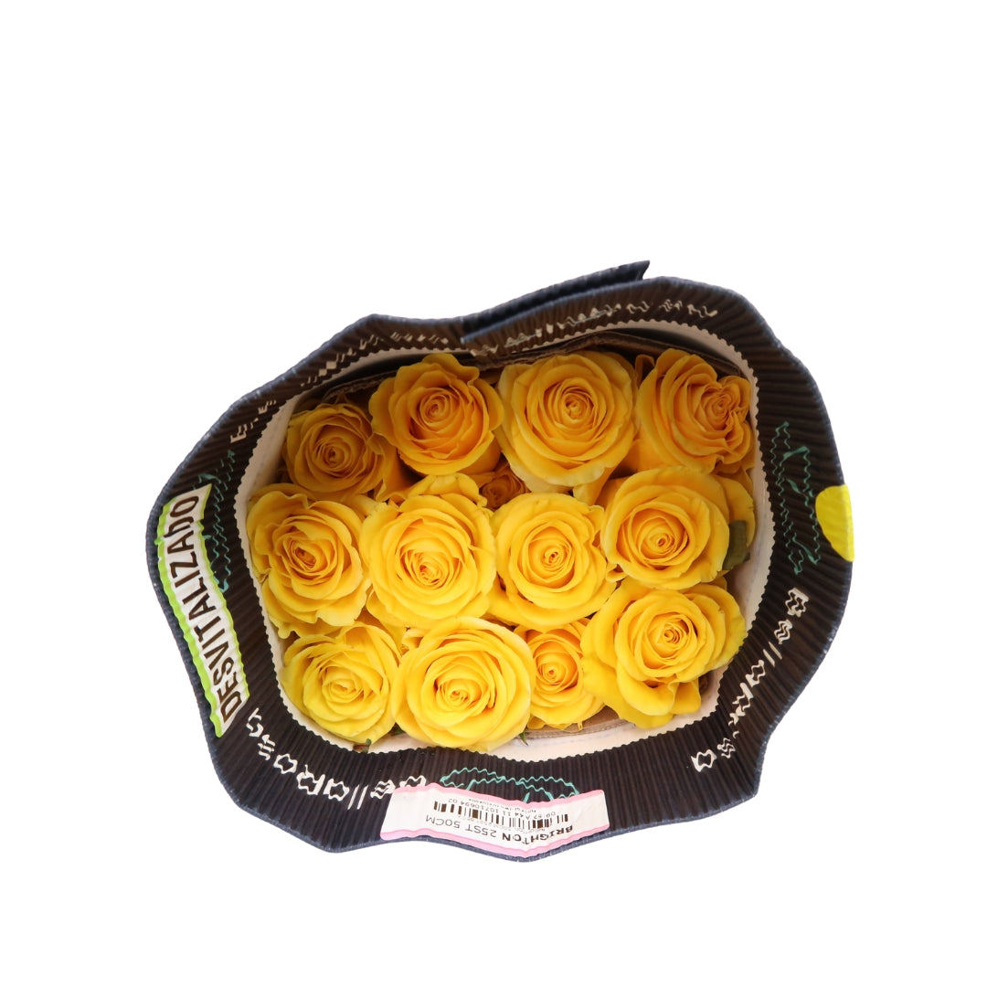 Rose Bundle - Brighton