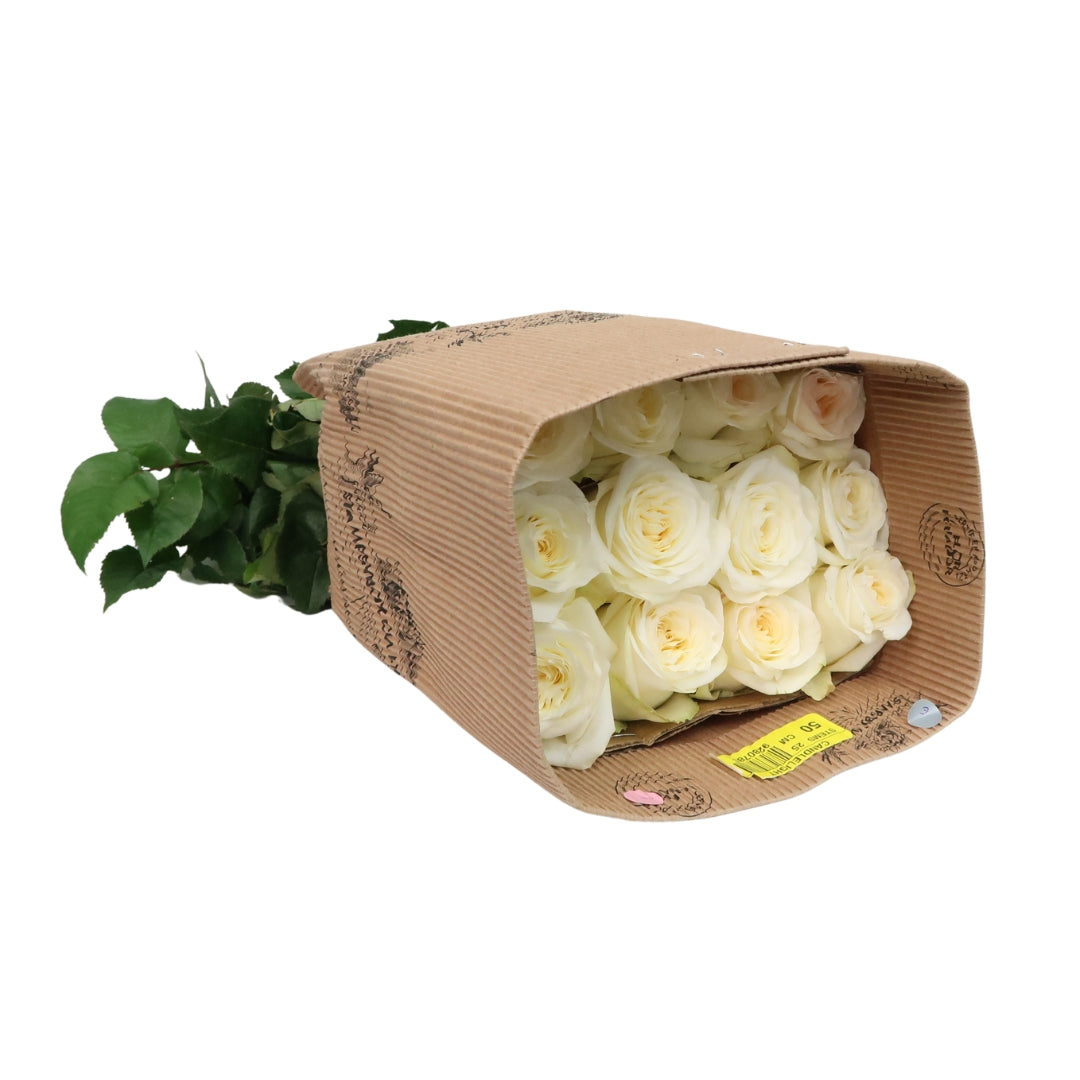 Rose Bundle - Candlelight