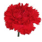 Carnations - Sims
