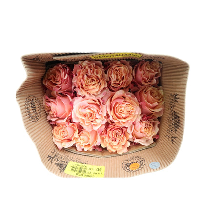 Rose Bundle - Carpe Diem