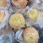 Chrysanthemums Big Mama