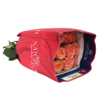 Rose Bundle - Country Homes