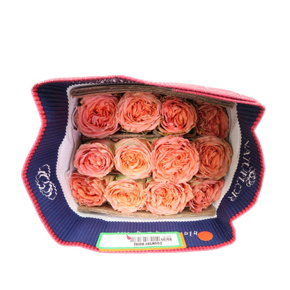 Rose Bundle - Country Homes
