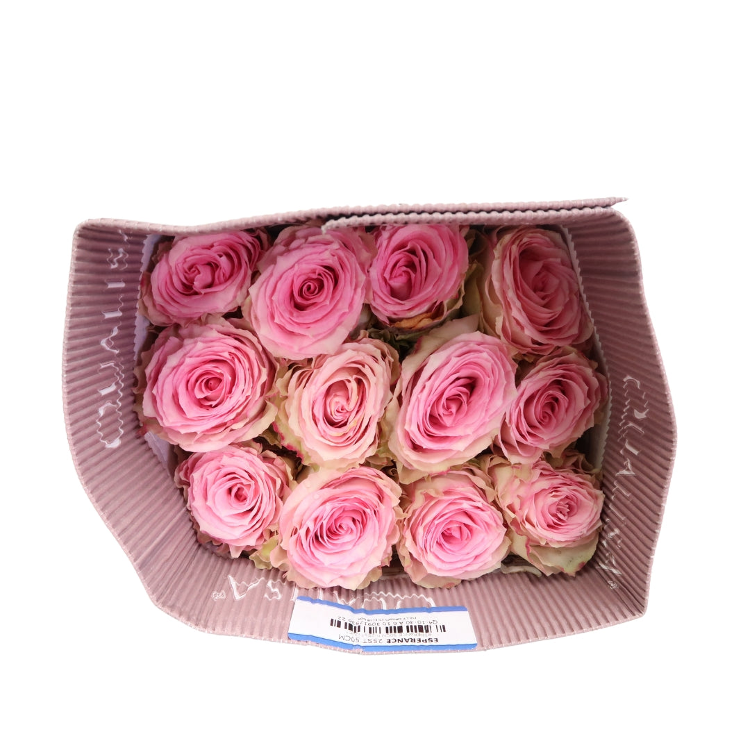 Rose Bundle - Esperance