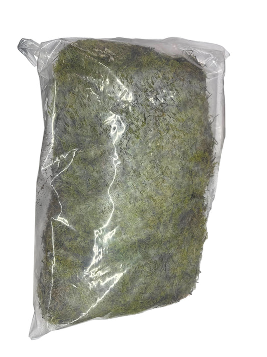 Moss Bag