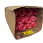 Rose Bundle - Pink X-pression
