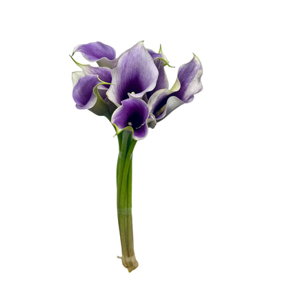 Calla Lily