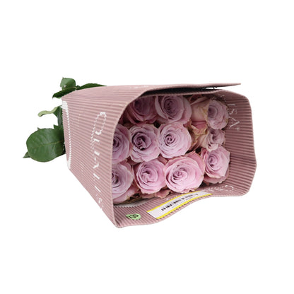 Rose Bundle - Faith