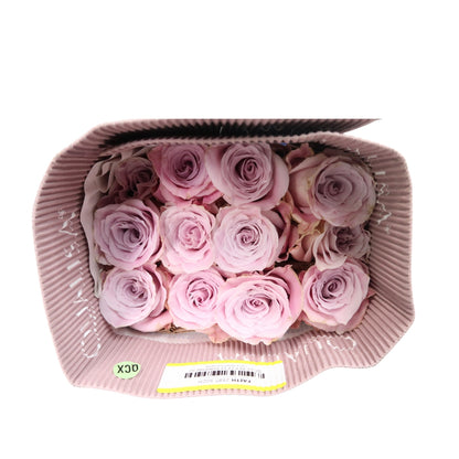 Rose Bundle - Faith