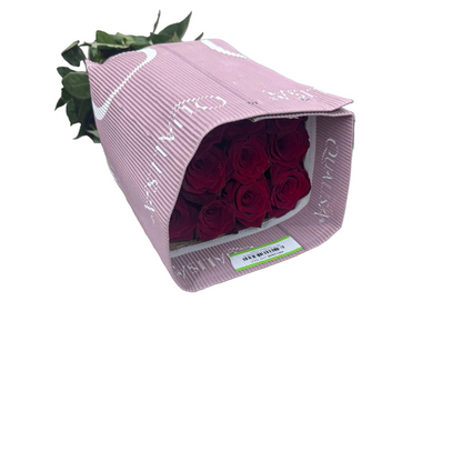 Rose Bundle - Explorer
