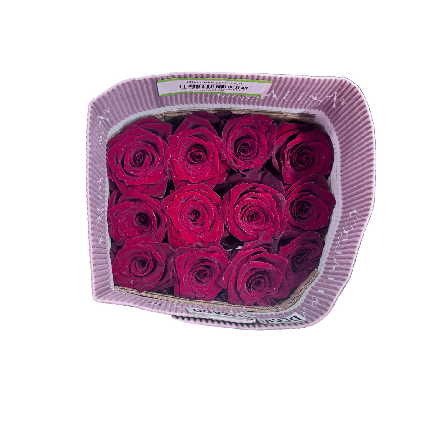Rose Bundle - Explorer