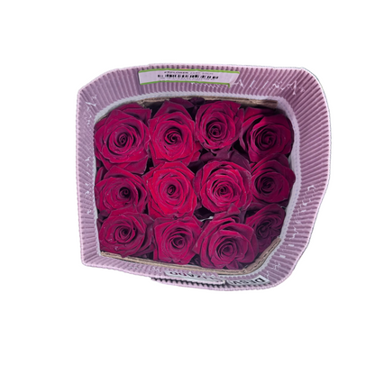 Rose Bundle - Explorer