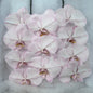 Orchid - Phalaenopsis Dyed Merlot (MSS-1)