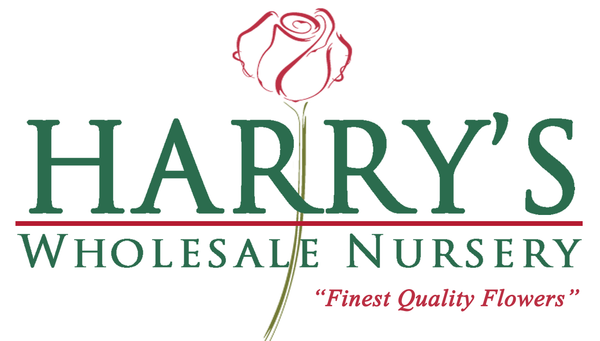 Harrys Wholesale