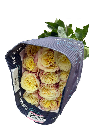 Rose Bundle - Wild Crown