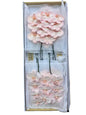 Orchid - Phalaenopsis Dyed Frozen Salmon (MSX-1)