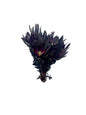 Leucadendron