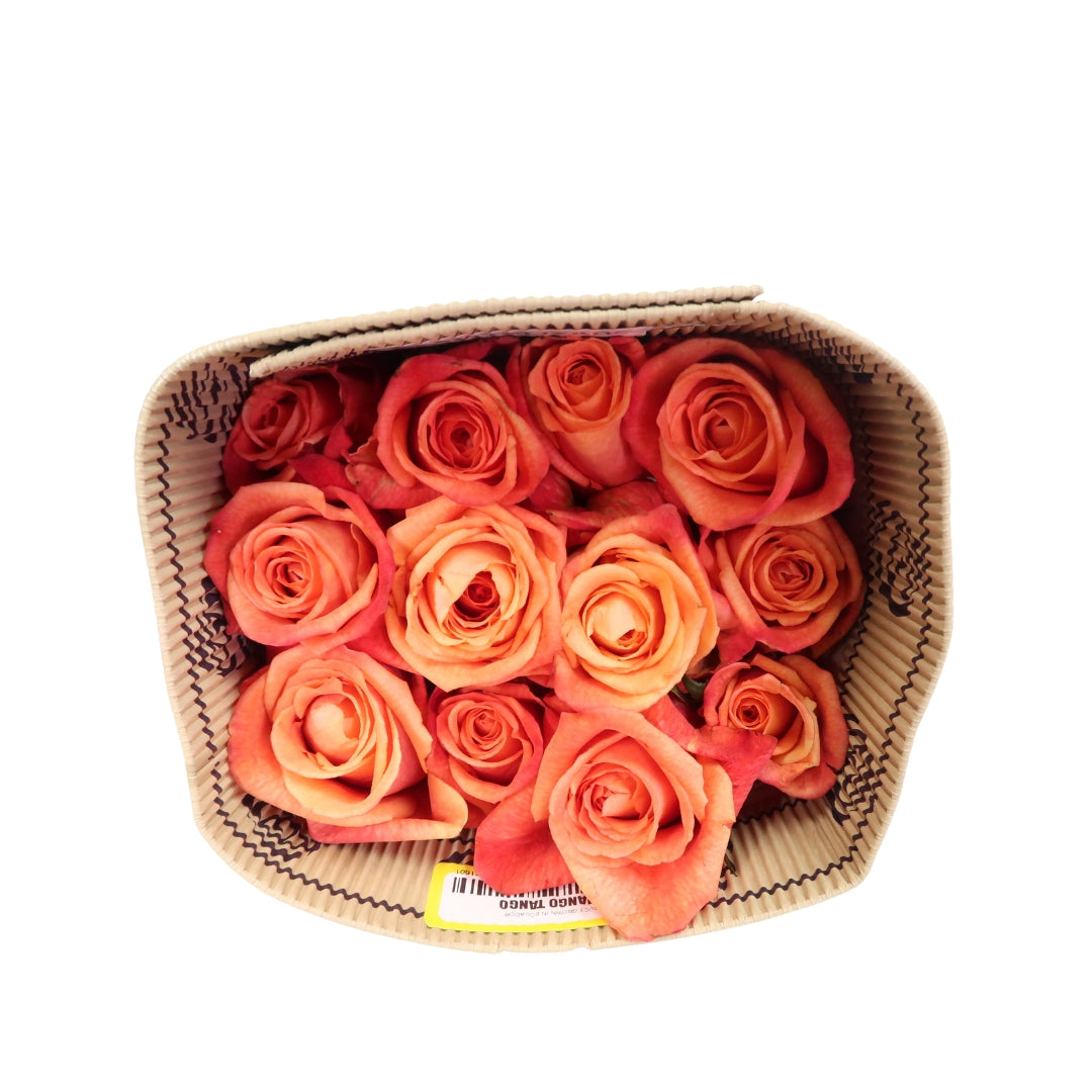 Rose Bundle - Mango Tango