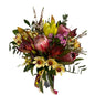 Mixed Native Arrangement