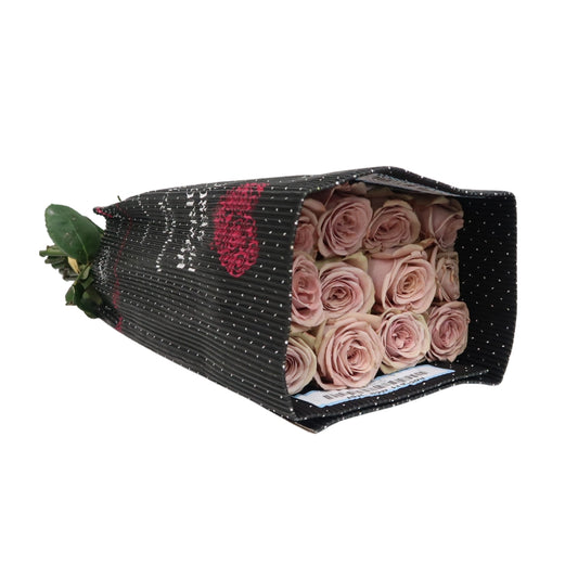 Rose Bundle - Mocca