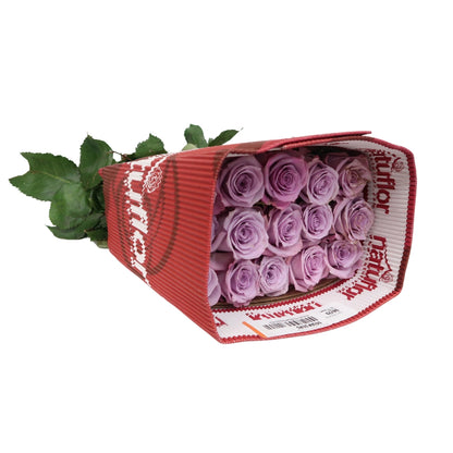 Rose Bundle - Ocean Song