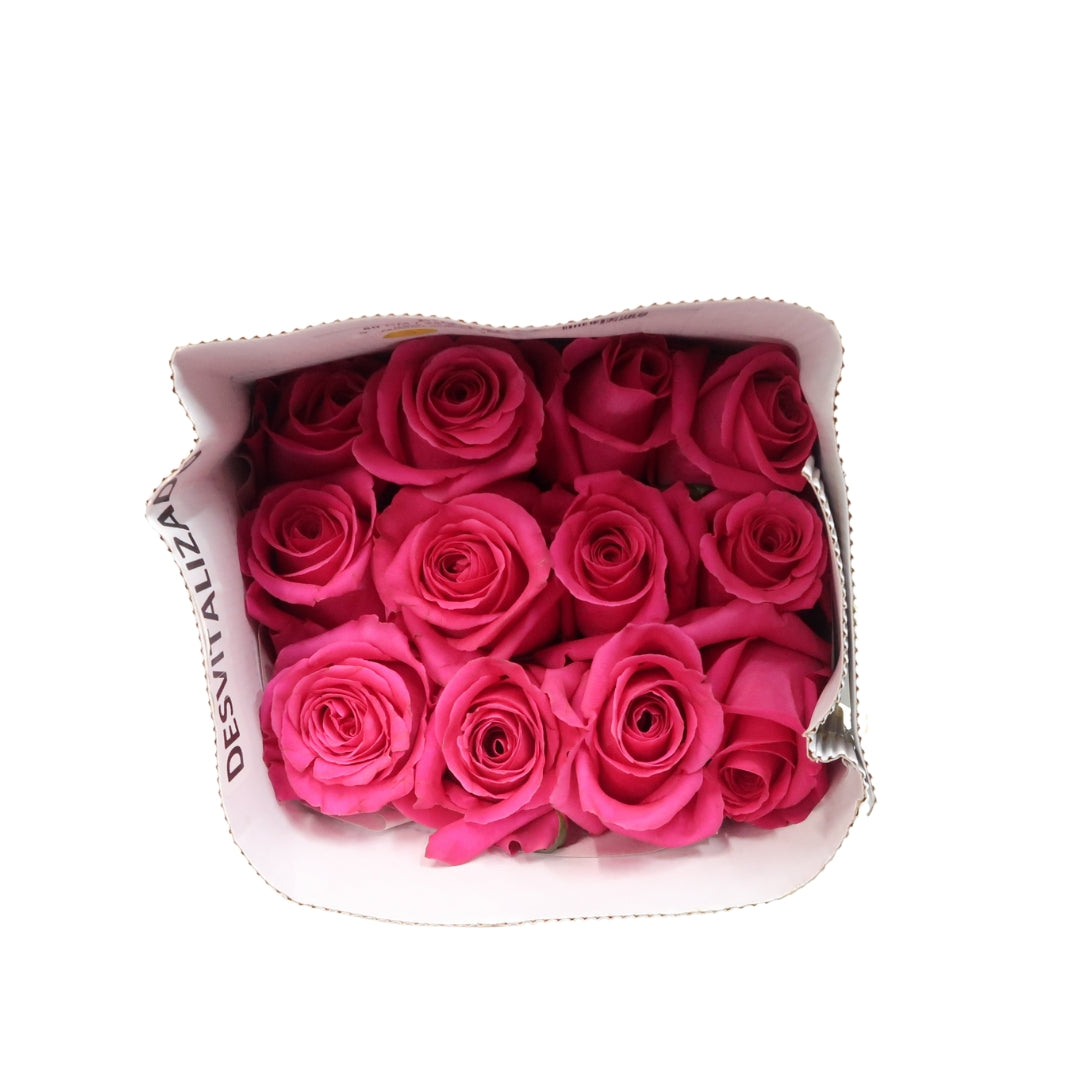 Rose Bundle - Pink Floyd