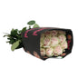 Rose Bundle - Pink Mondial