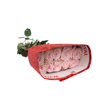 Rose Bundle - Pink O'Hara