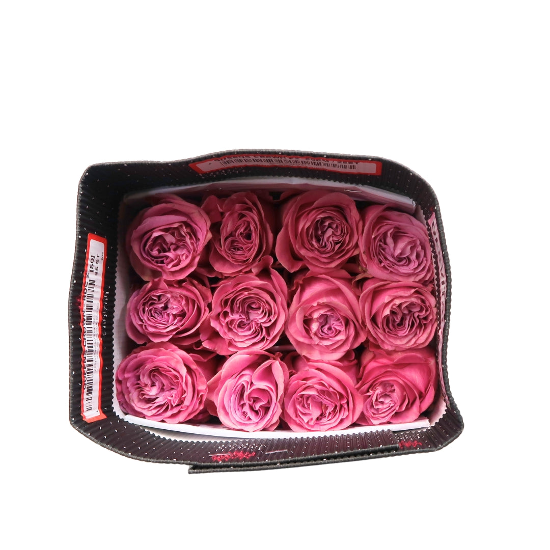 Rose Bundle - Queen's Crown