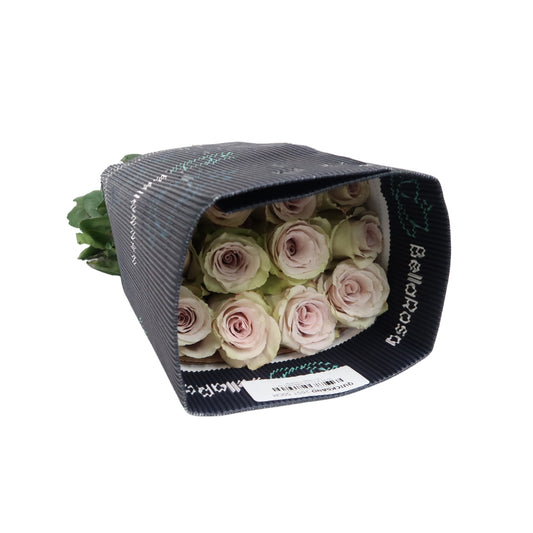 Rose Bundle - Quicksand