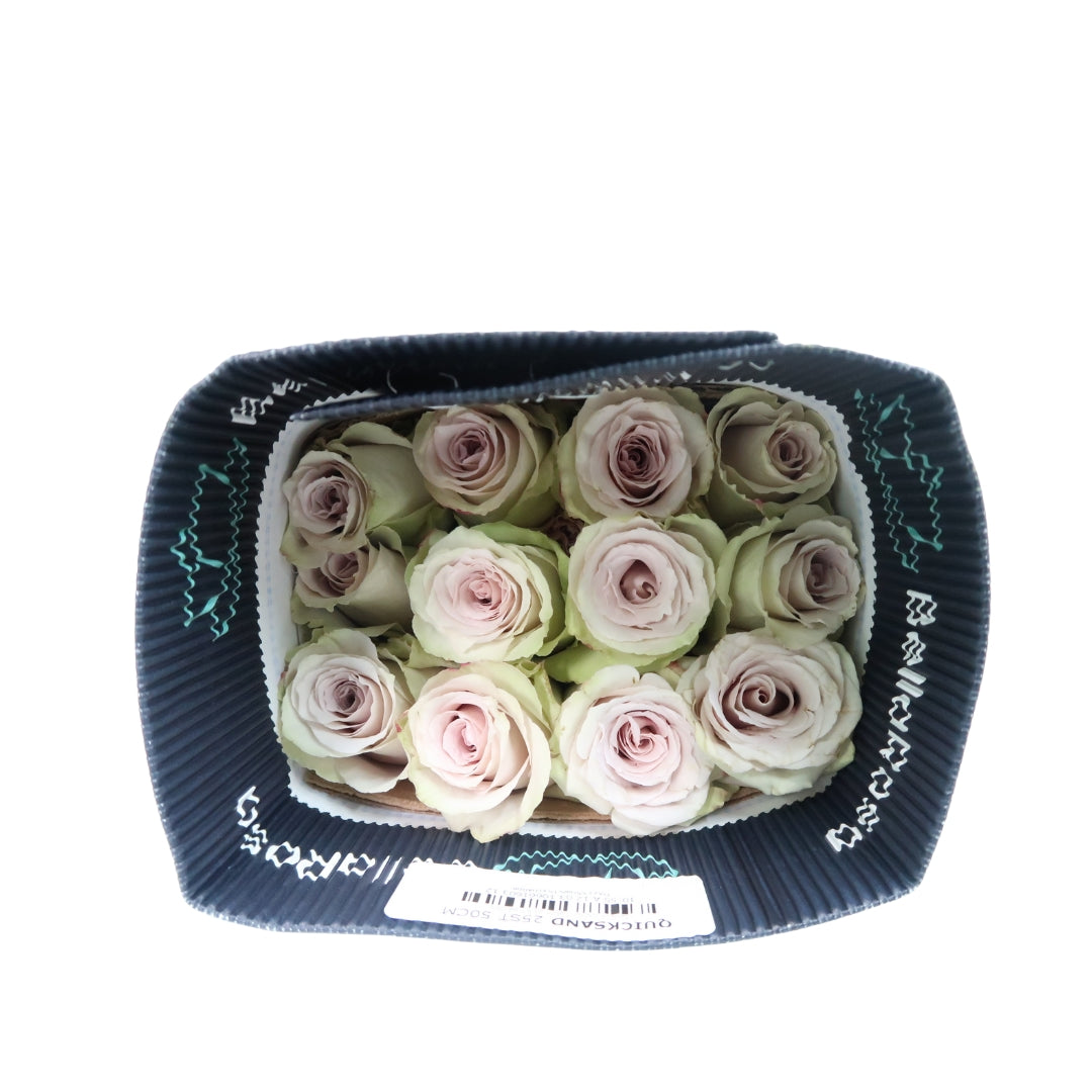 Rose Bundle - Quicksand