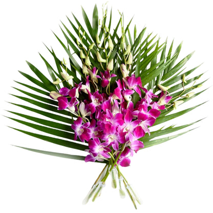 Singapore Orchids 5 stems