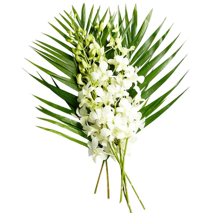 Singapore Orchids 5 stems
